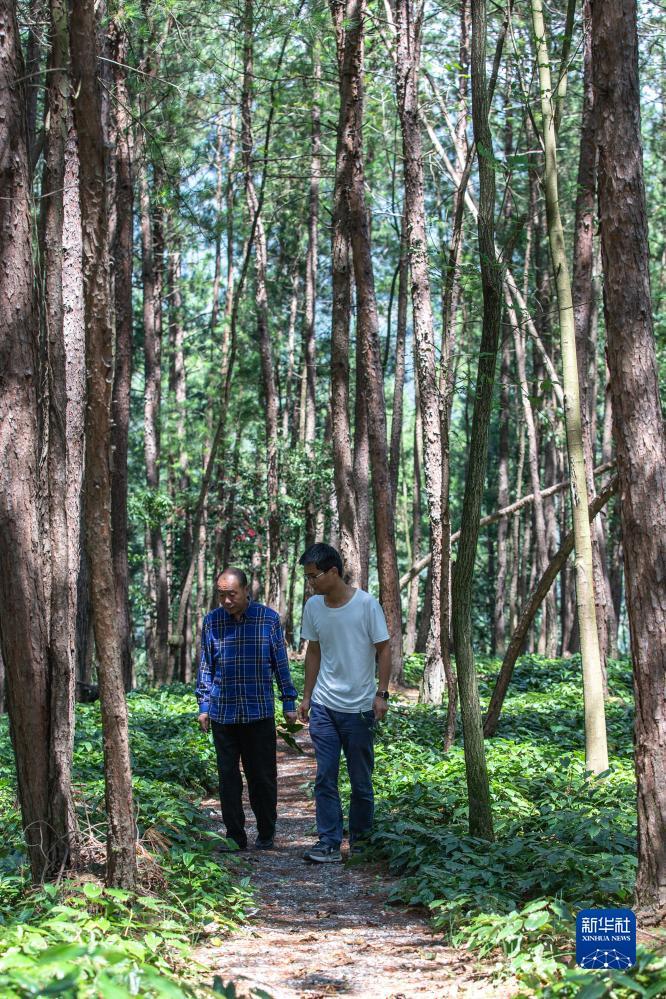 澳门在线堵城